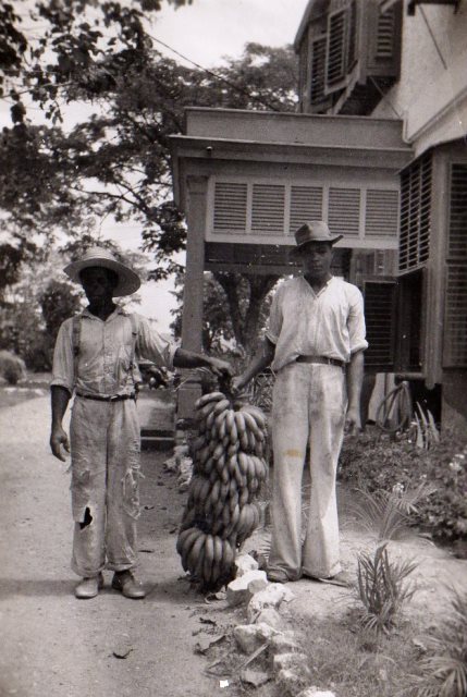 Mona grown bananas with Busha and Ernest 1939