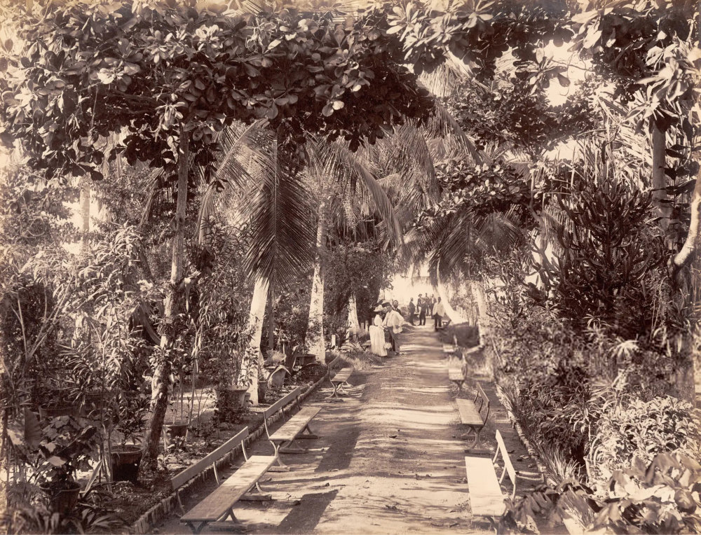 myrtle bank gardens 1891