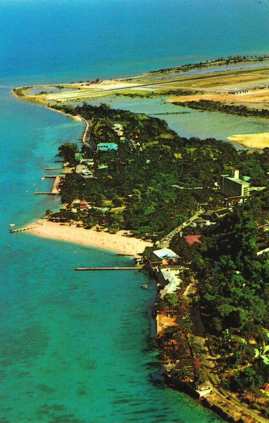 Doctors Cave Beach vertical aerial