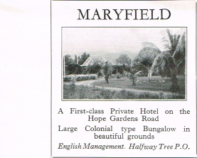 Jamaica Bulletin Jan 1930 13c