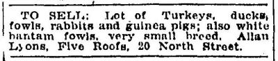 Kingston Gleaner 1924 05 03 p20