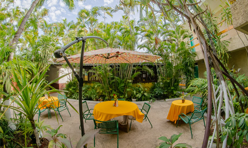 indies patio archive